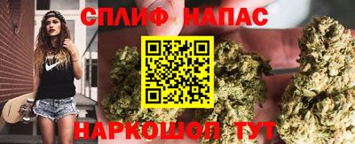 бошки Заводоуковск