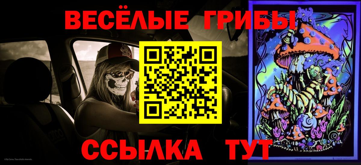 Галлюциногенные грибы прущие грибы  Вход с VPN  Ишим  Галлюциногенные грибы Psilocybe 